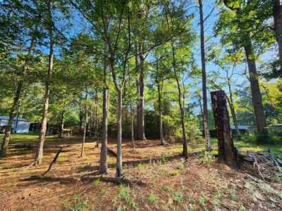 Residential Land For Sale in Milam, Texas