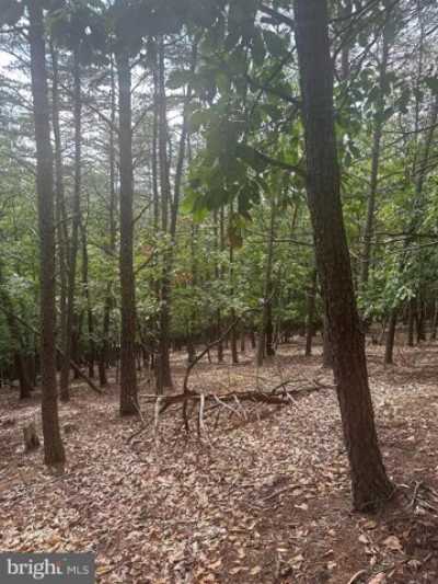 Residential Land For Sale in 