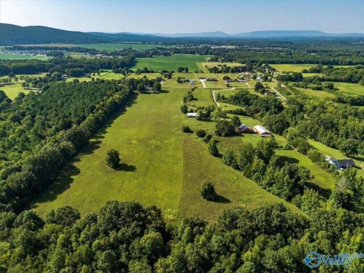 Picture of Home For Sale in New Market, Alabama, United States