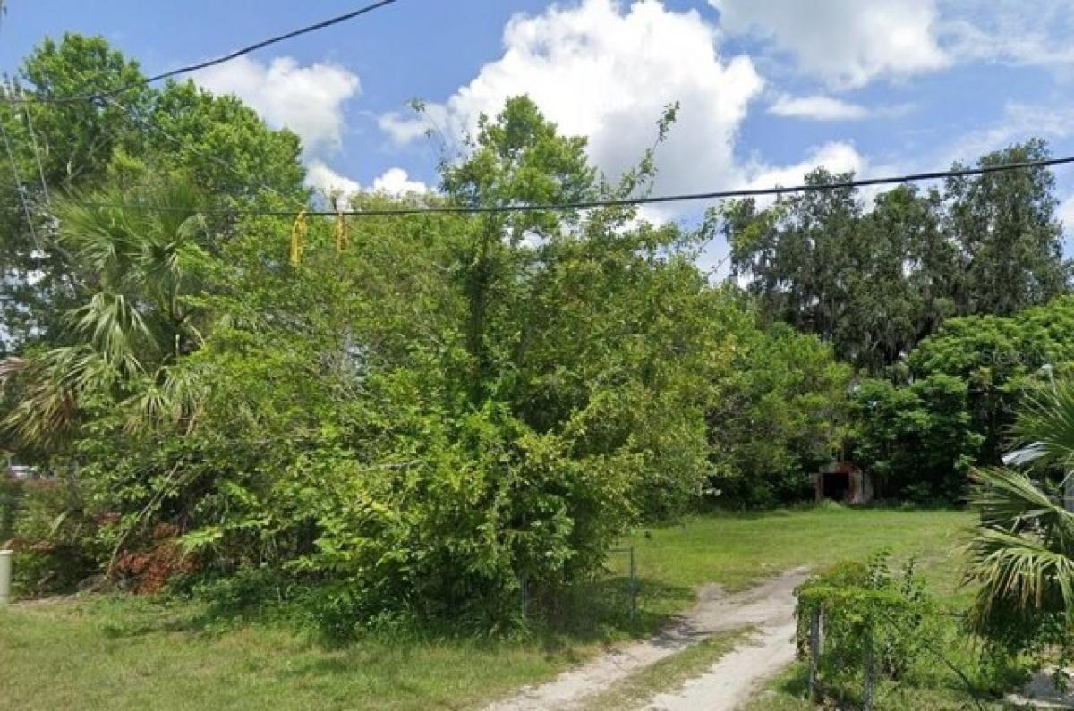 Picture of Residential Land For Sale in Deland, Florida, United States