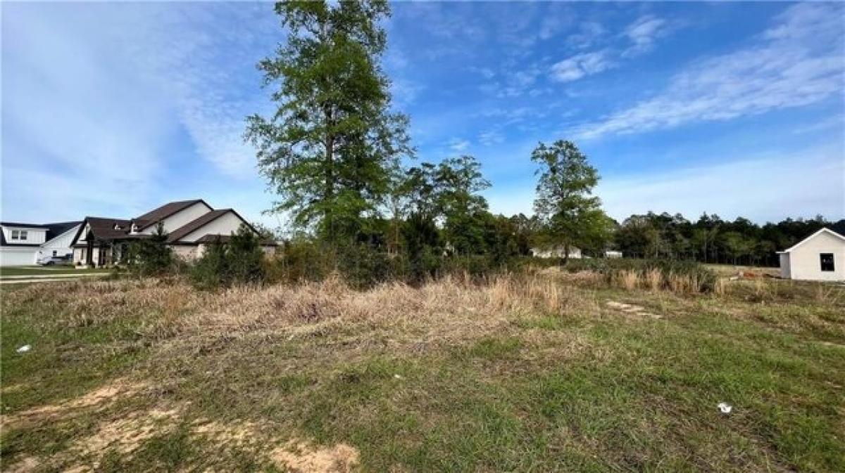 Picture of Residential Land For Sale in Mobile, Alabama, United States