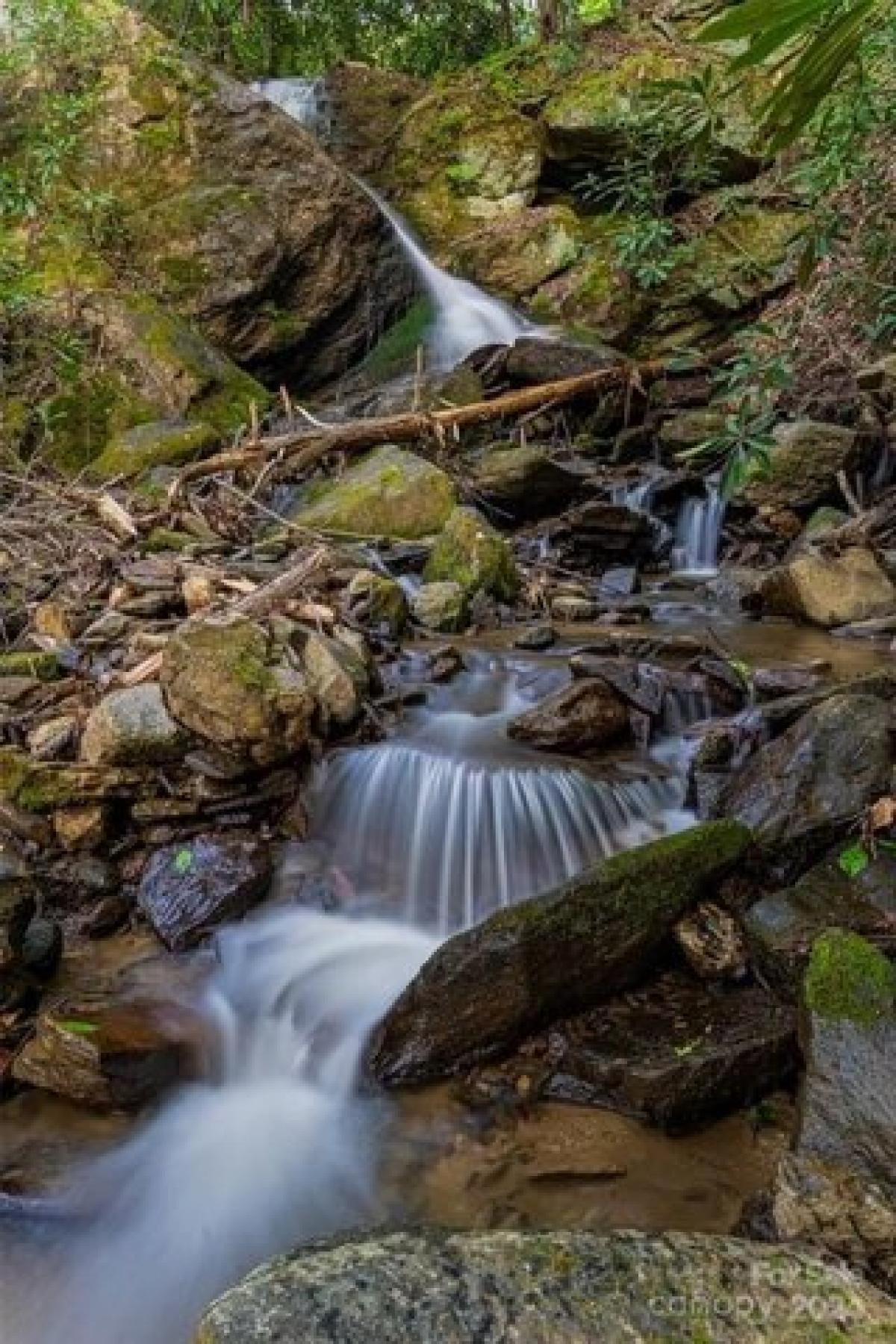 Picture of Residential Land For Sale in Swannanoa, North Carolina, United States