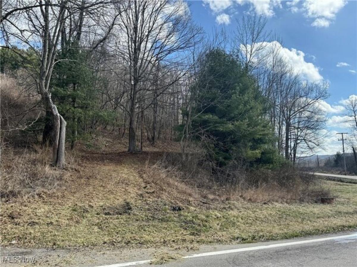 Picture of Residential Land For Sale in Flushing, Ohio, United States