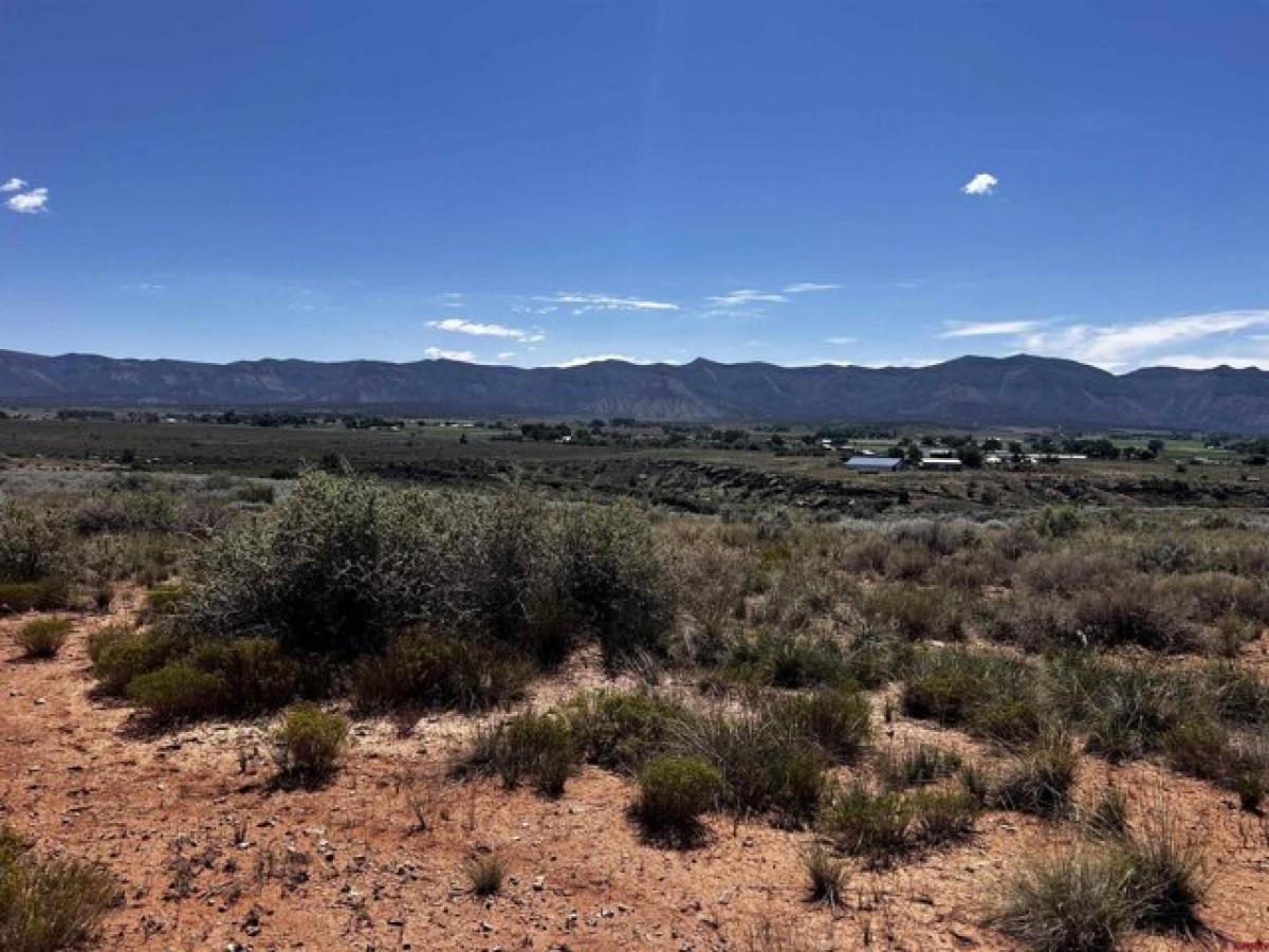 Picture of Residential Land For Sale in Cortez, Colorado, United States