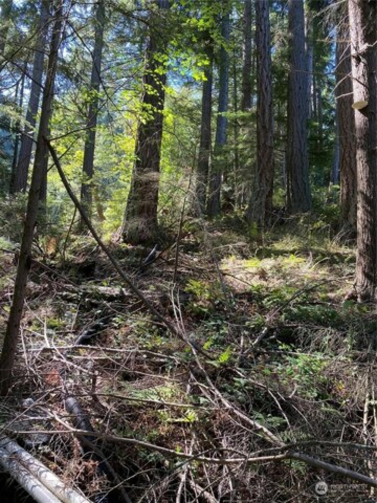 Picture of Residential Land For Sale in Lummi Island, Washington, United States