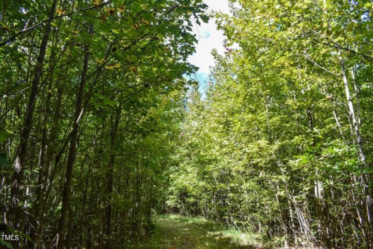 Picture of Residential Land For Sale in Timberlake, North Carolina, United States