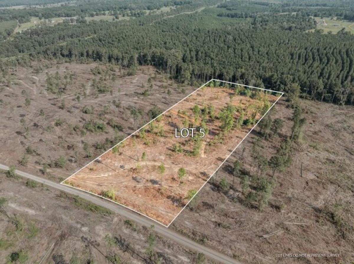 Picture of Residential Land For Sale in Mount Olive, Mississippi, United States