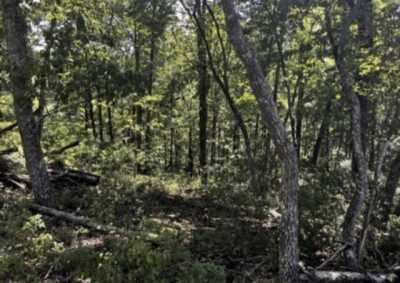 Residential Land For Sale in Waverly, Tennessee