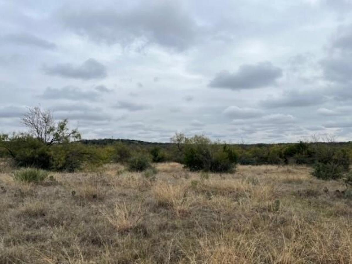 Picture of Residential Land For Sale in Early, Texas, United States