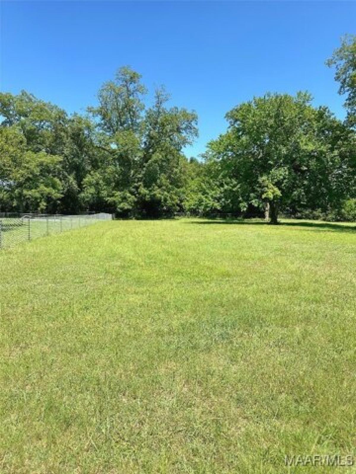 Picture of Residential Land For Sale in Midland City, Alabama, United States