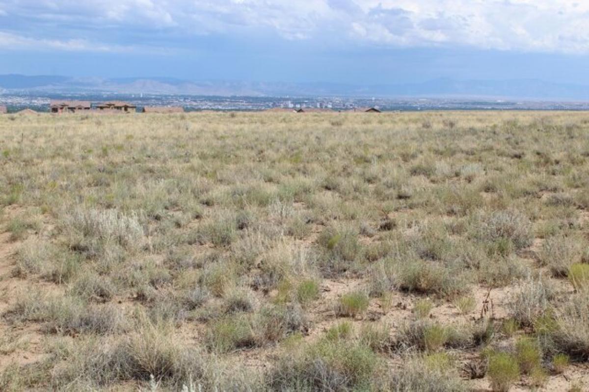 Picture of Residential Land For Sale in Albuquerque, New Mexico, United States