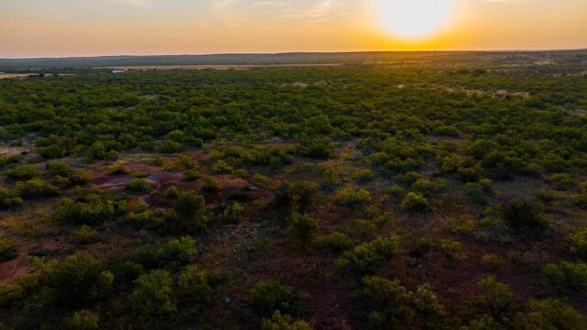 Picture of Residential Land For Sale in Childress, Texas, United States