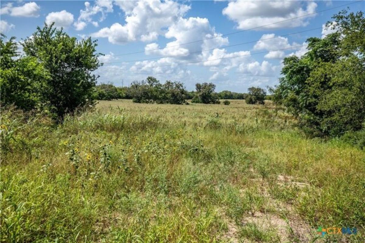 Picture of Residential Land For Sale in Seguin, Texas, United States