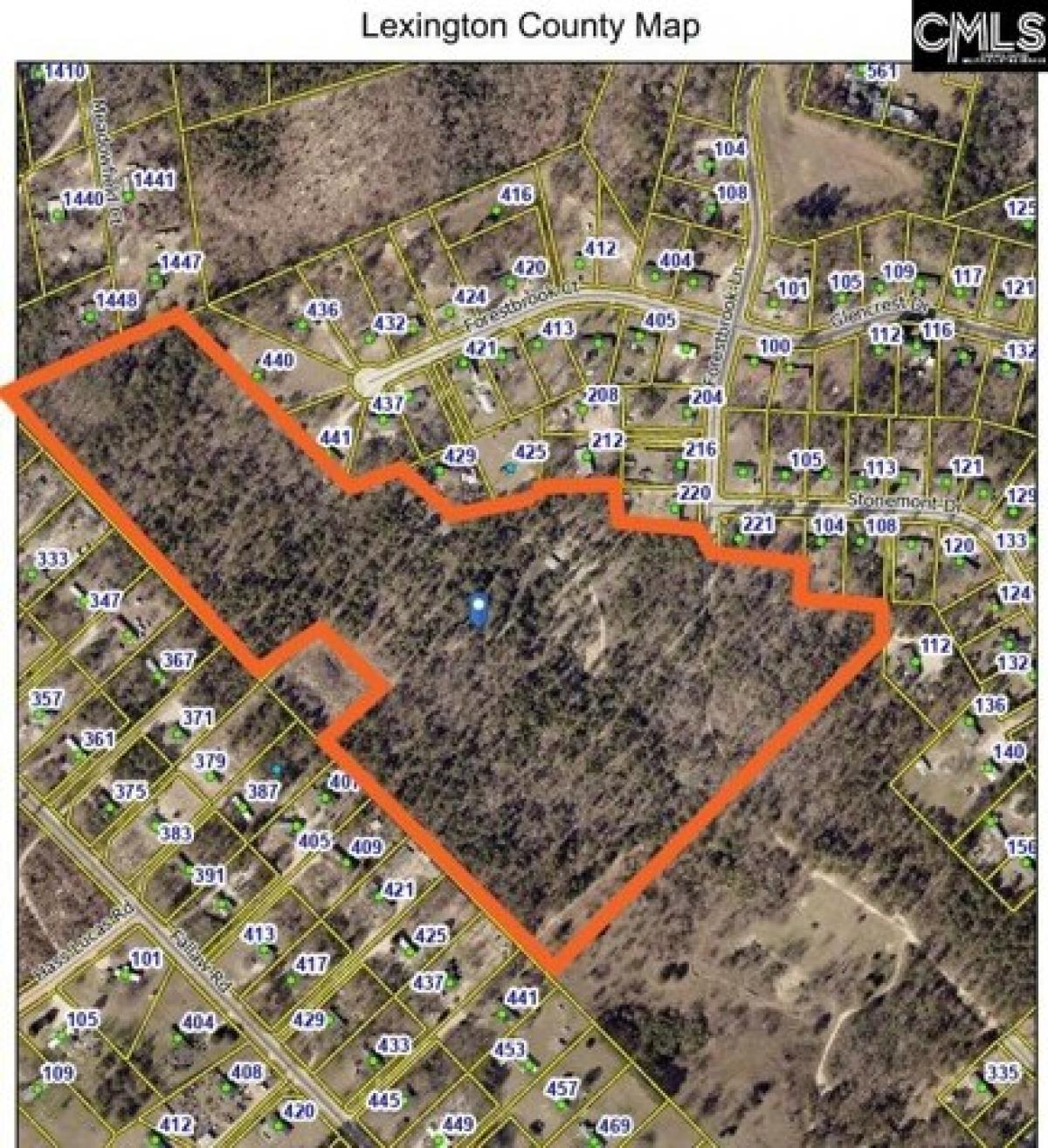 Picture of Residential Land For Sale in Gaston, South Carolina, United States