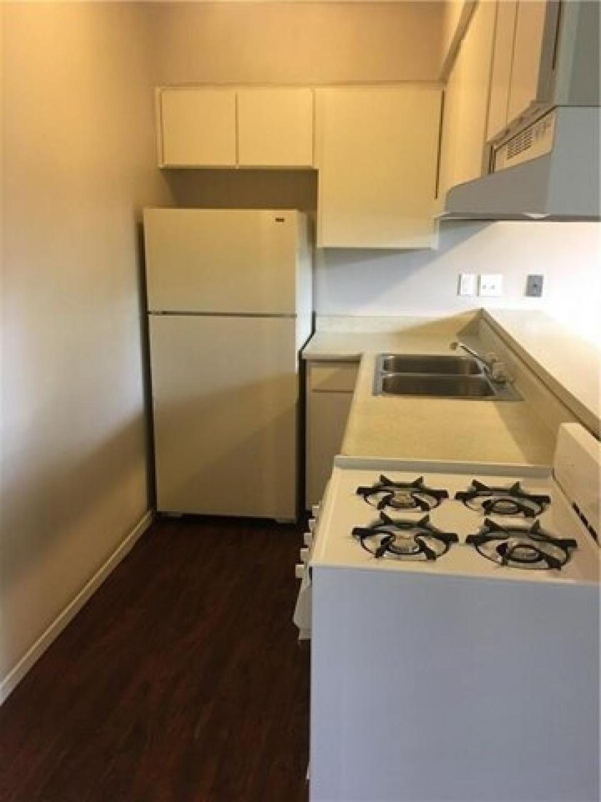 Picture of Apartment For Rent in Austin, Texas, United States