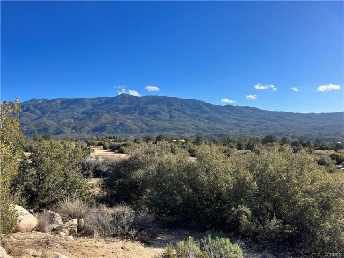 Picture of Residential Land For Sale in Mountain Center, California, United States