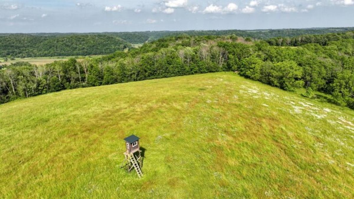 Picture of Residential Land For Sale in Clayton, Wisconsin, United States