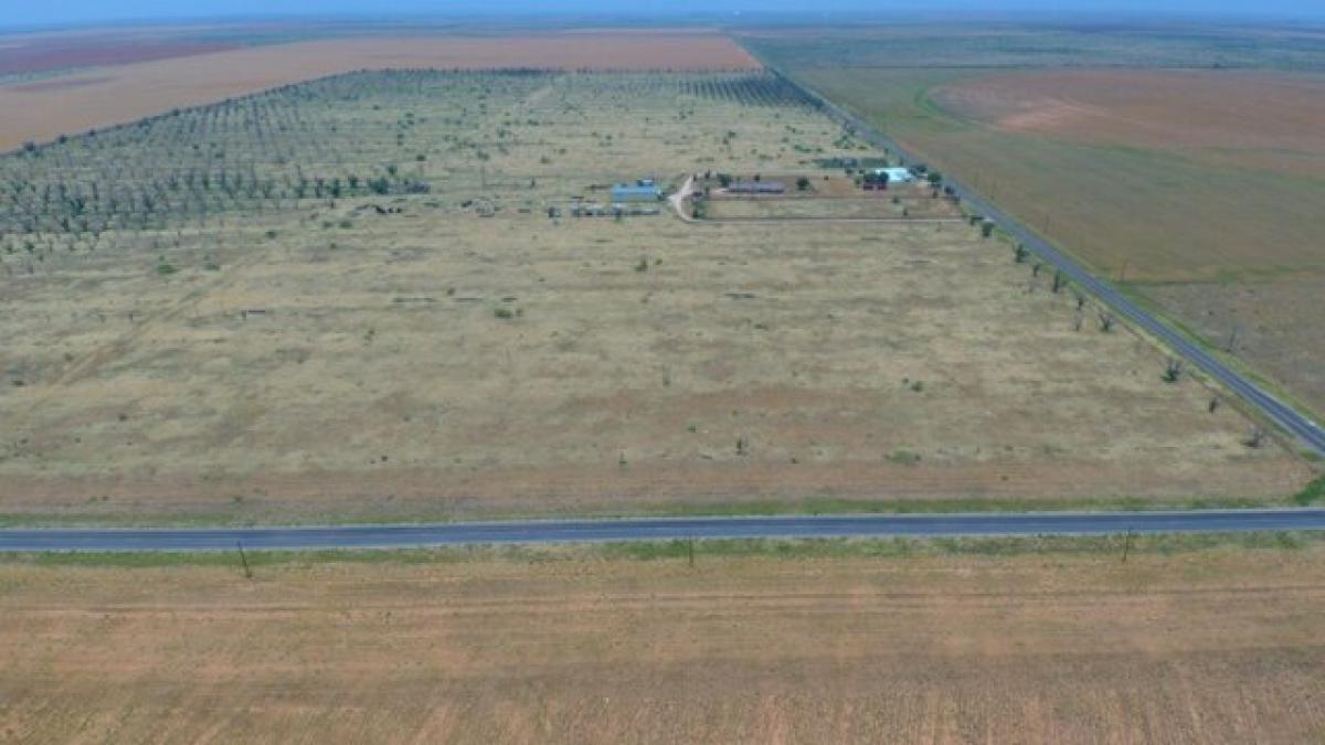 Picture of Residential Land For Sale in Lamesa, Texas, United States