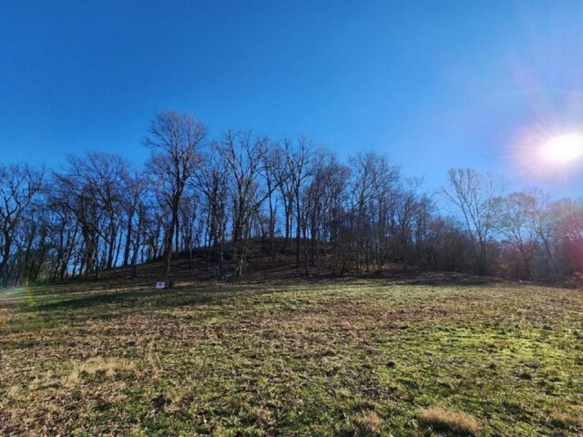 Picture of Residential Land For Sale in Mount Pleasant, Tennessee, United States