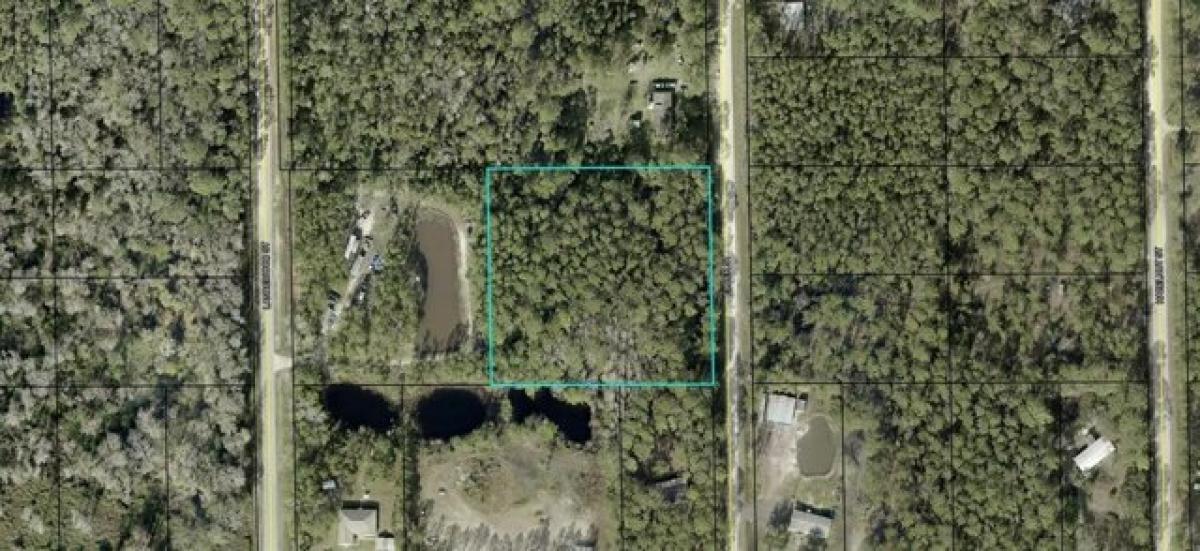 Picture of Residential Land For Sale in Bunnell, Florida, United States