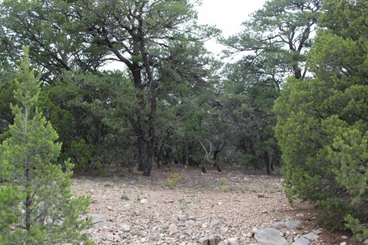 Picture of Residential Land For Sale in Tijeras, New Mexico, United States