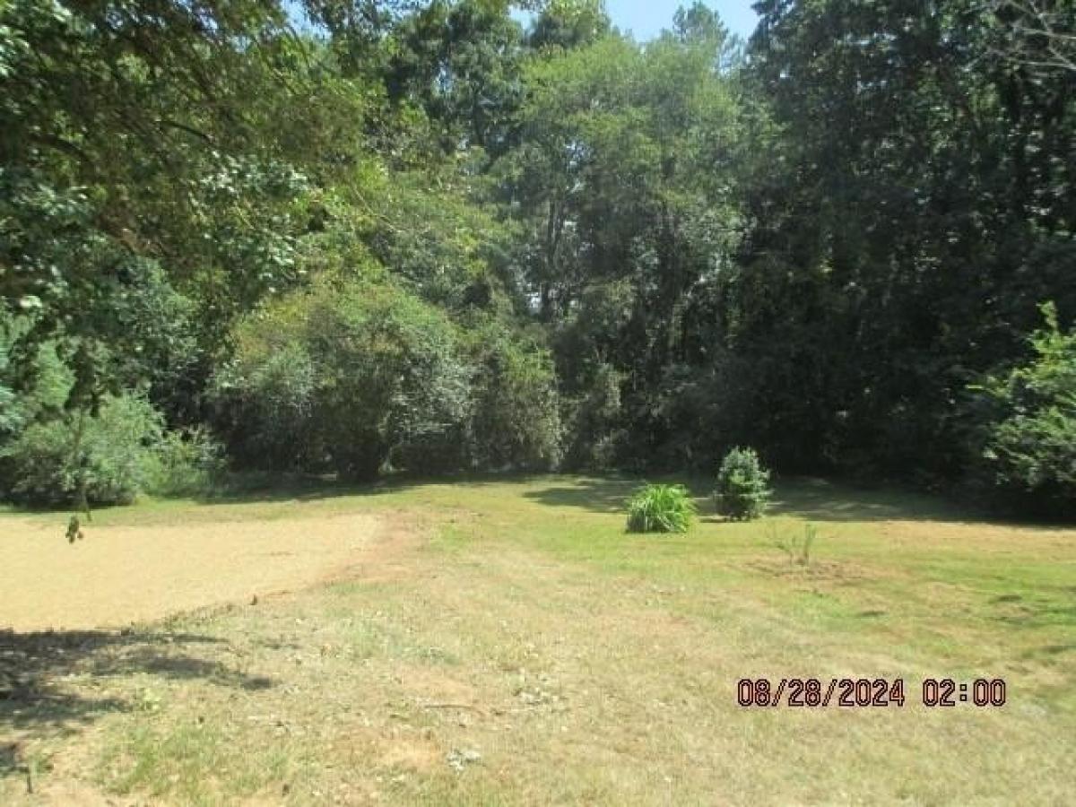 Picture of Residential Land For Sale in Menlo, Georgia, United States