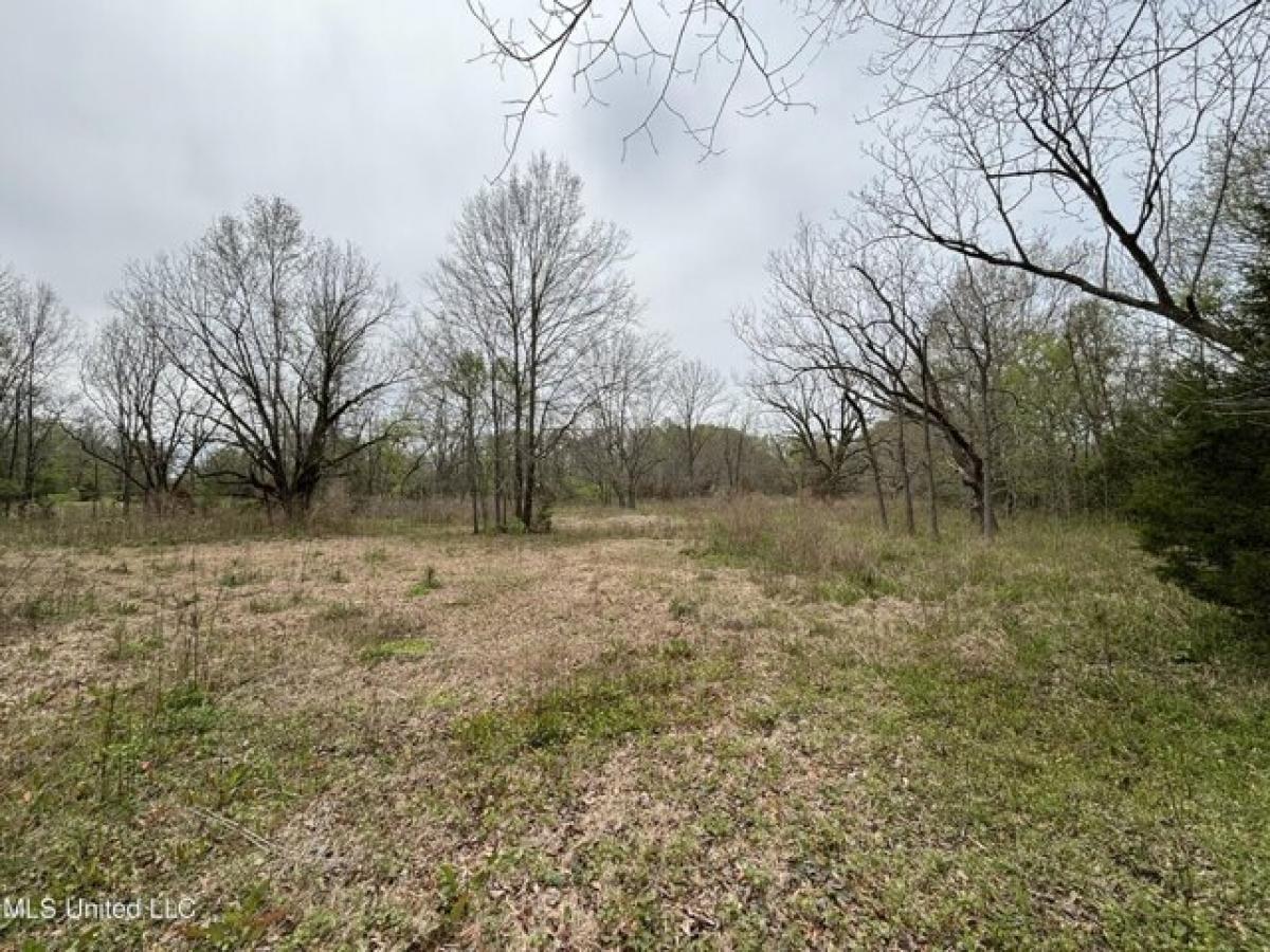 Picture of Residential Land For Sale in Jackson, Mississippi, United States