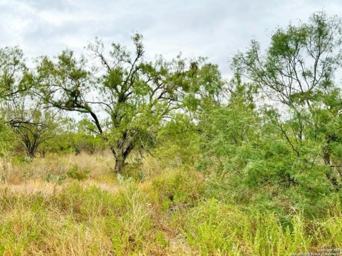 Picture of Residential Land For Sale in Devine, Texas, United States