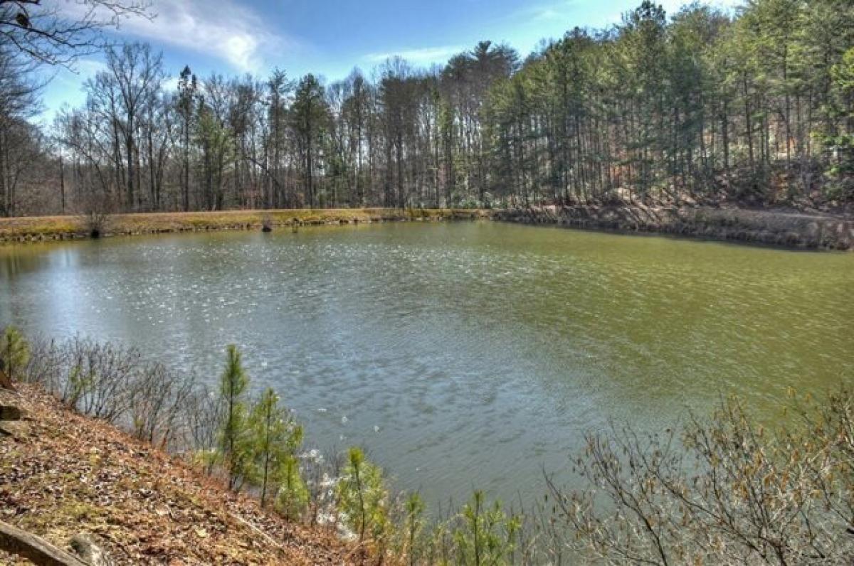 Picture of Home For Sale in Ellijay, Georgia, United States