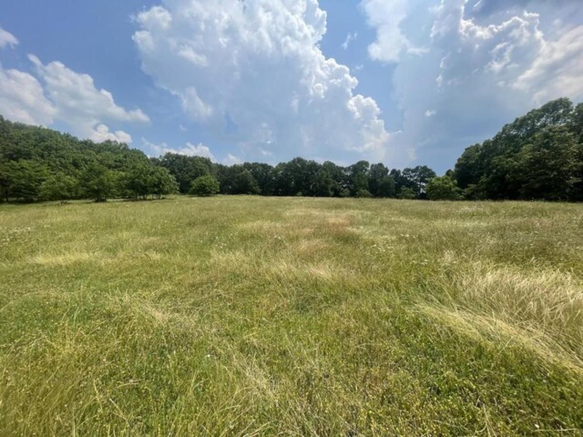 Picture of Residential Land For Sale in Mountain Grove, Missouri, United States