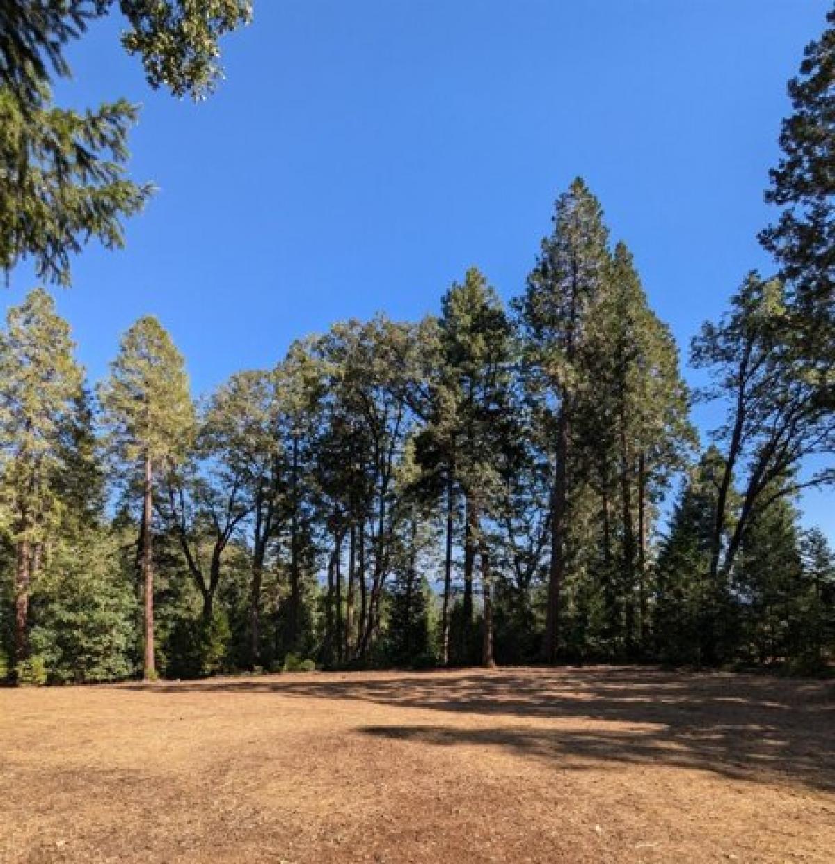 Picture of Residential Land For Sale in Nevada City, California, United States