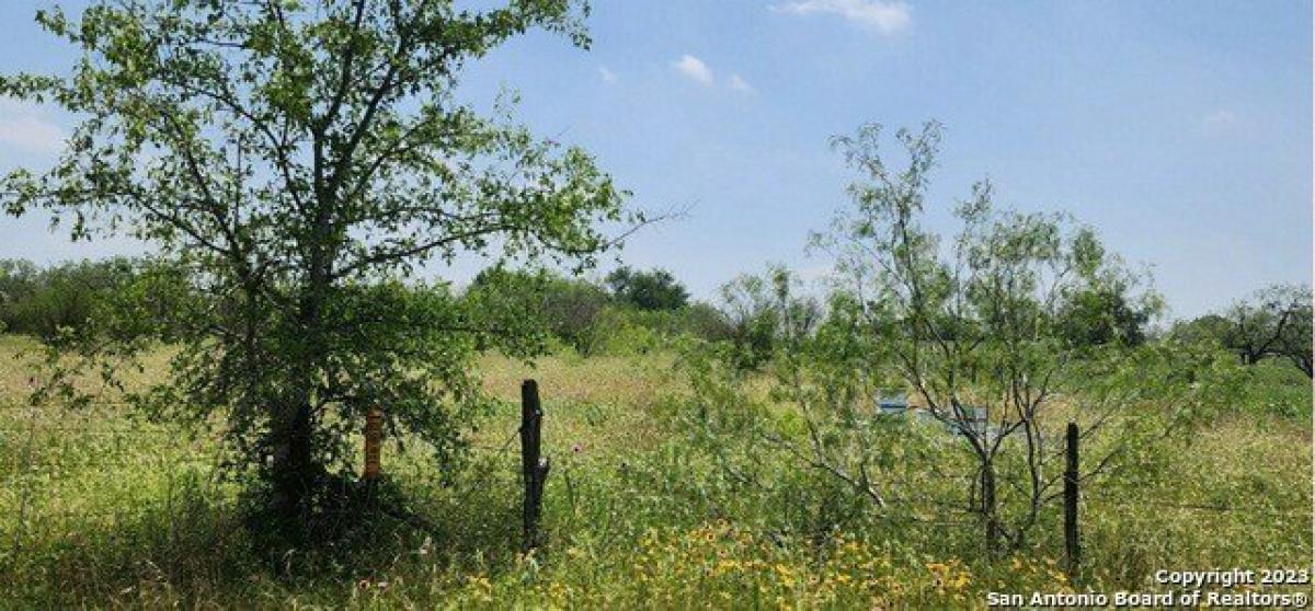 Picture of Residential Land For Sale in Saint Hedwig, Texas, United States