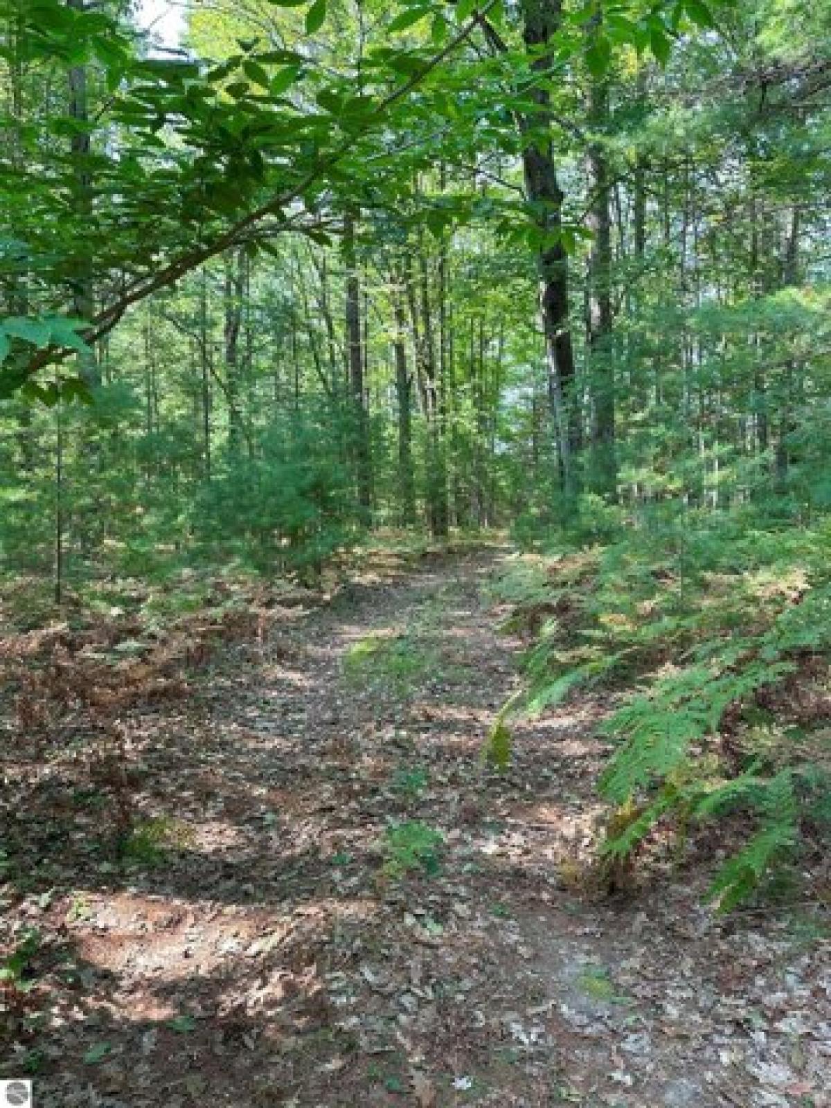 Picture of Residential Land For Sale in Kalkaska, Michigan, United States