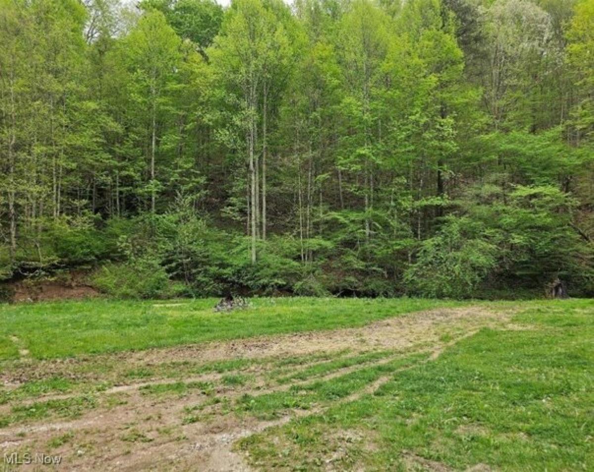 Picture of Residential Land For Rent in Looneyville, West Virginia, United States