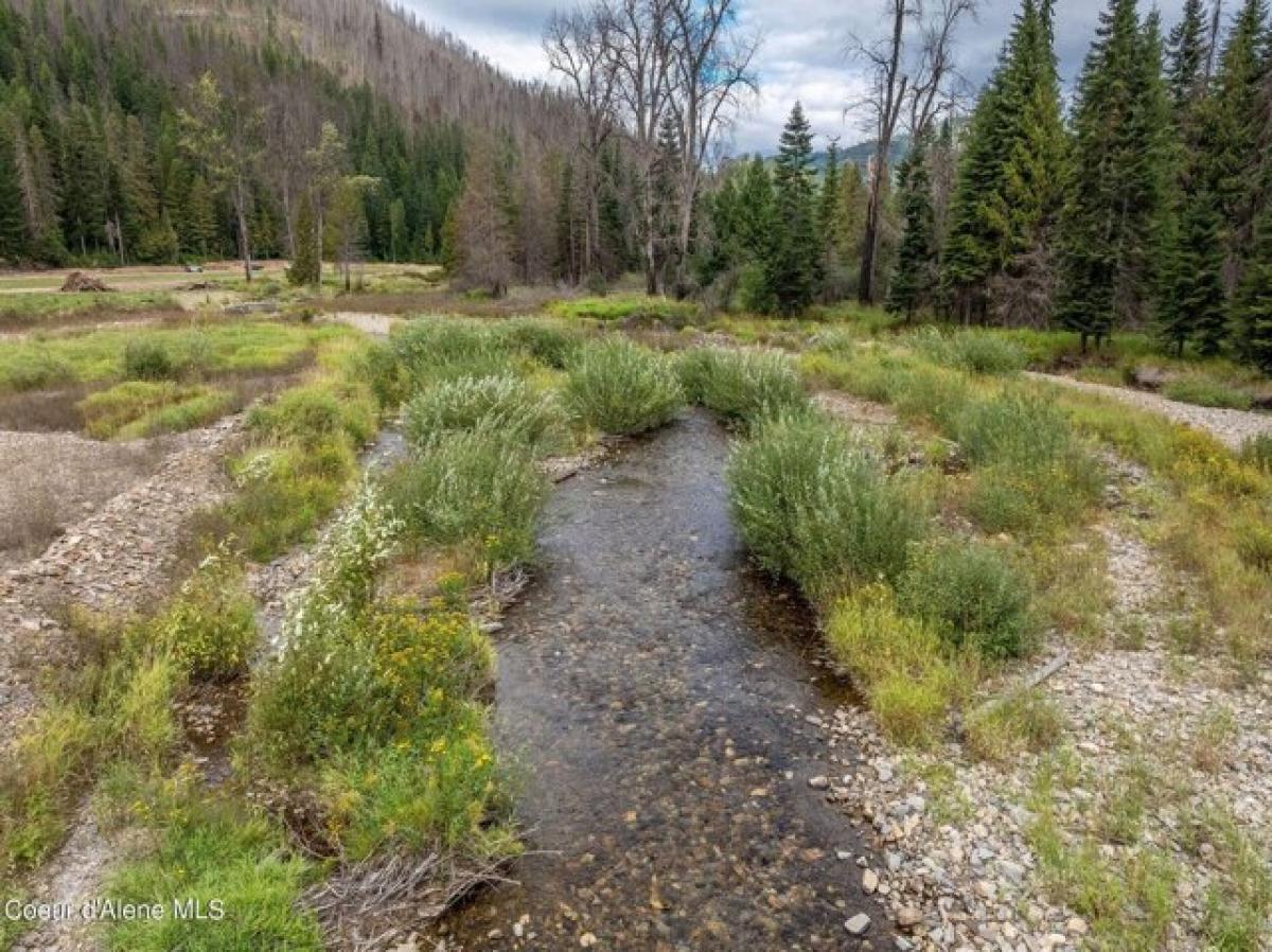 Picture of Residential Land For Sale in Wallace, Idaho, United States