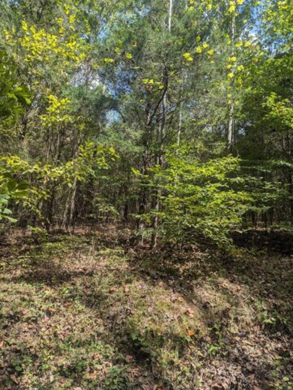 Picture of Residential Land For Sale in Cumberland Furnace, Tennessee, United States