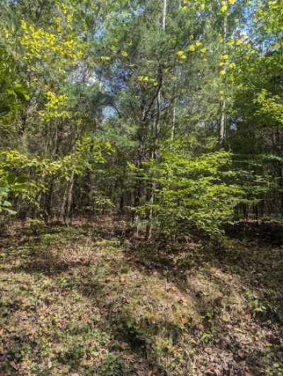 Residential Land For Sale in 