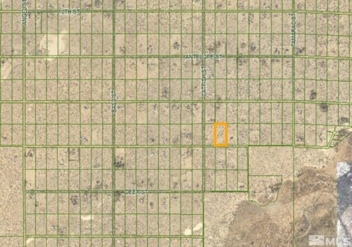 Picture of Residential Land For Sale in Silver Springs, Nevada, United States