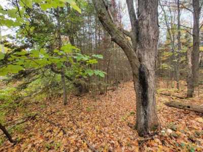 Residential Land For Sale in Deerbrook, Wisconsin