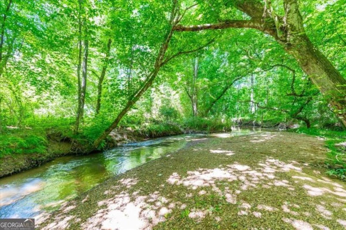 Picture of Residential Land For Sale in Cave Spring, Georgia, United States