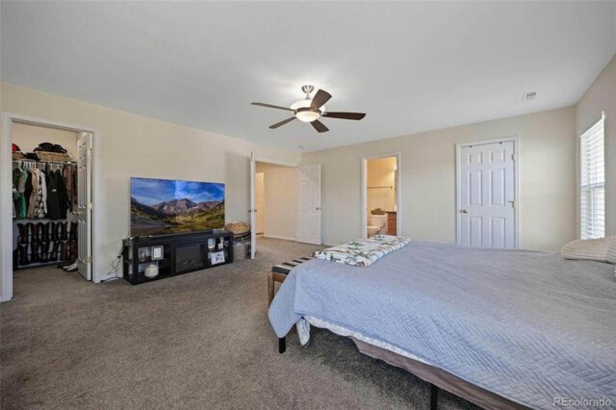 Picture of Home For Sale in Castle Rock, Colorado, United States