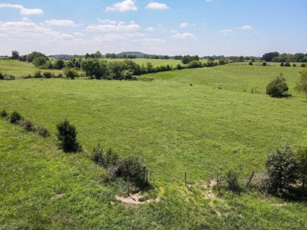 Picture of Residential Land For Sale in Buffalo, Missouri, United States