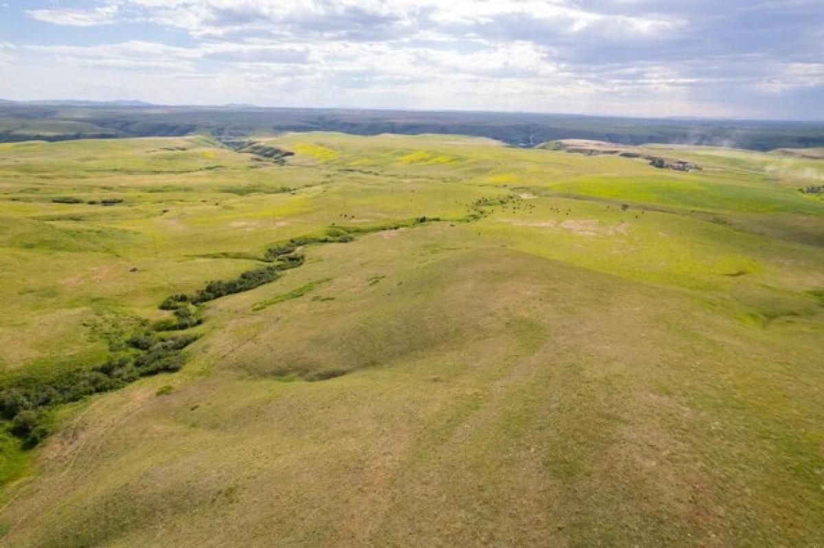 Picture of Residential Land For Sale in Belt, Montana, United States