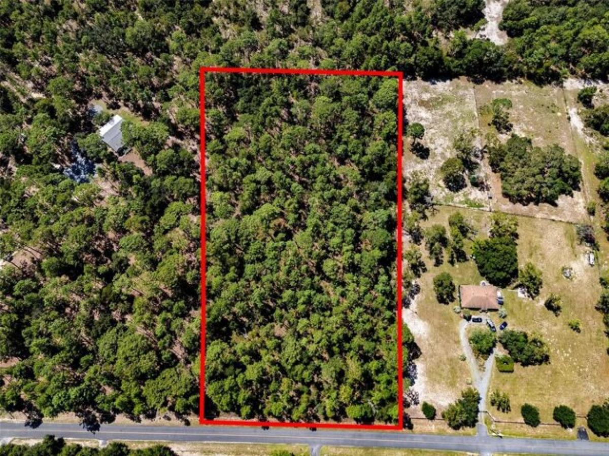 Picture of Residential Land For Sale in Morriston, Florida, United States