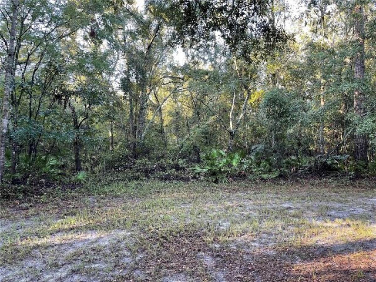 Picture of Residential Land For Sale in Mcalpin, Florida, United States