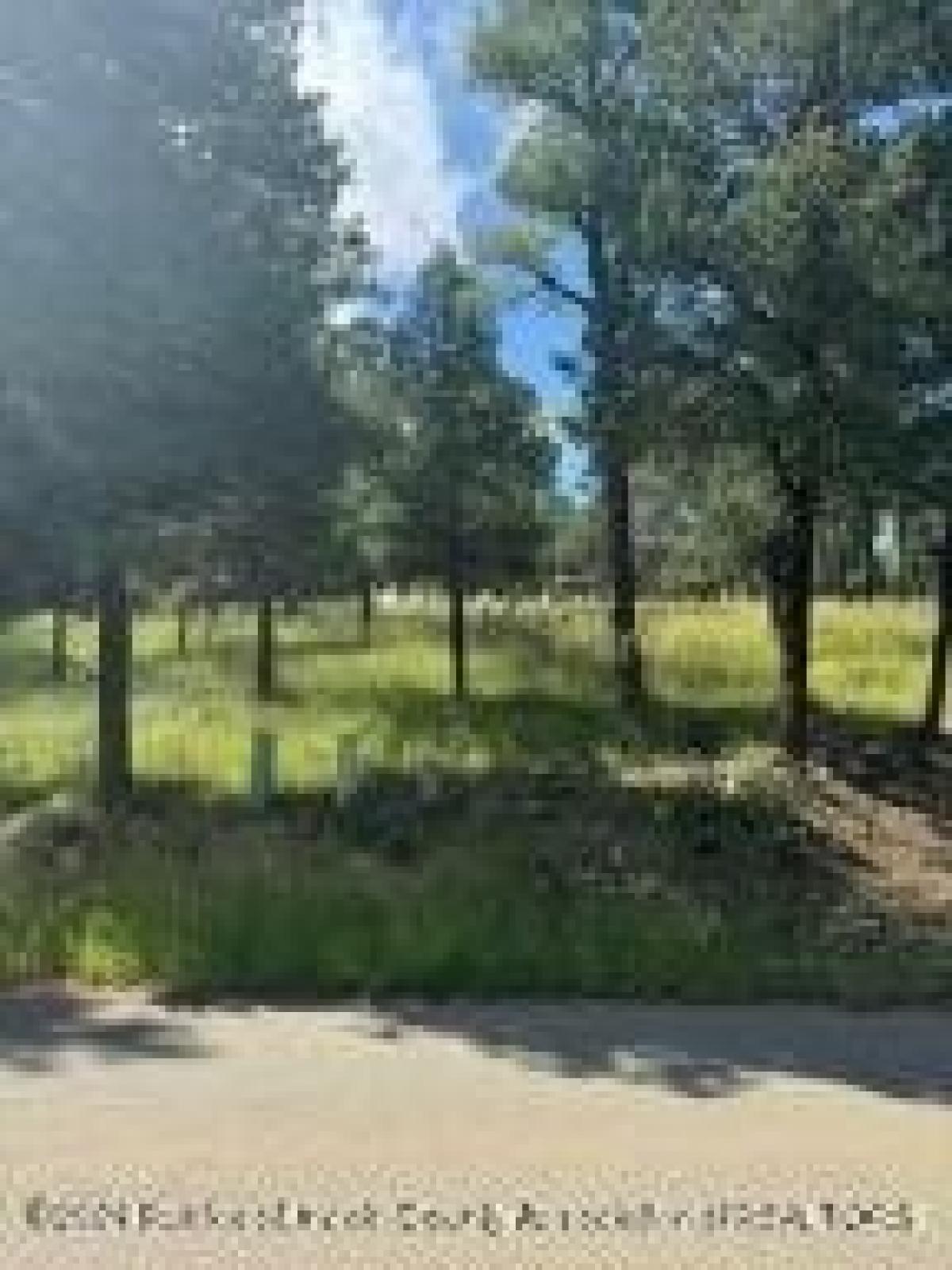 Picture of Residential Land For Sale in Ruidoso, New Mexico, United States