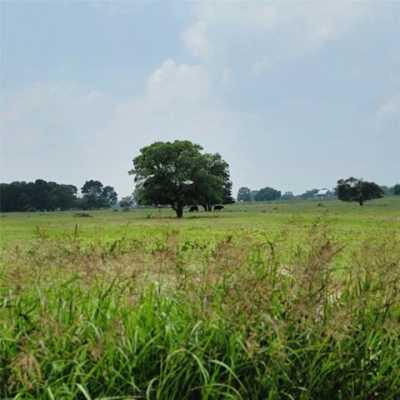 Residential Land For Sale in Round Top, Texas