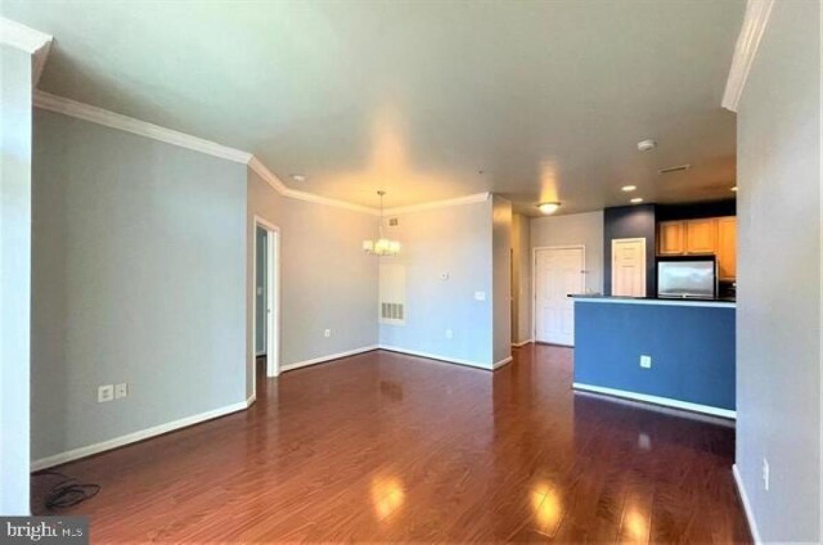 Picture of Apartment For Rent in Arlington, Virginia, United States