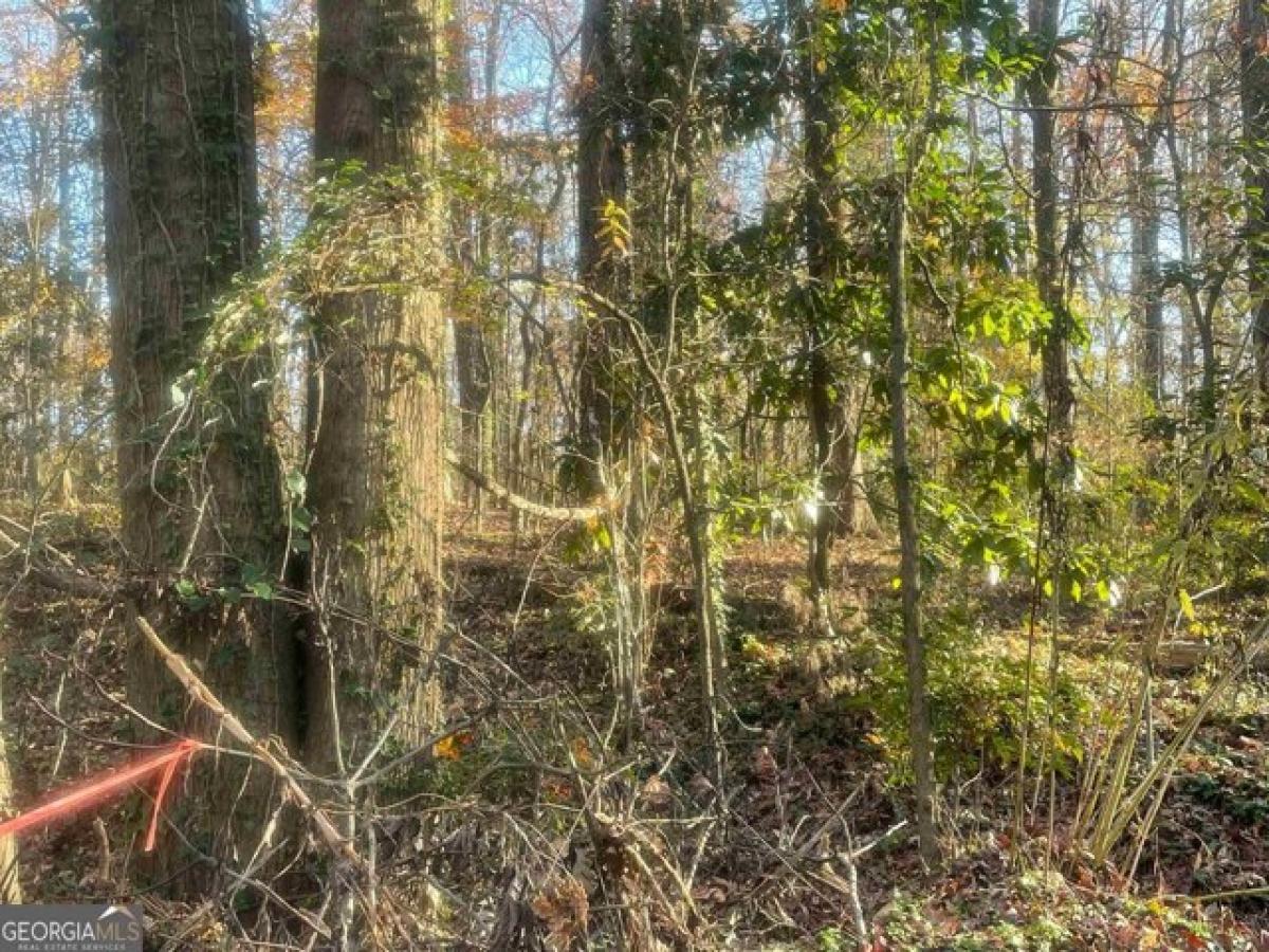 Picture of Residential Land For Sale in Lithia Springs, Georgia, United States