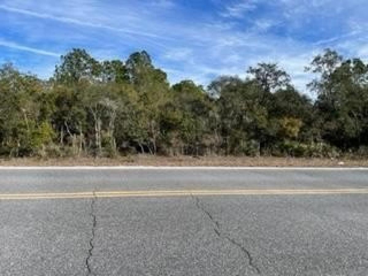 Picture of Residential Land For Sale in Perry, Florida, United States